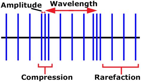 Longitudinal Wave Labeled Parts