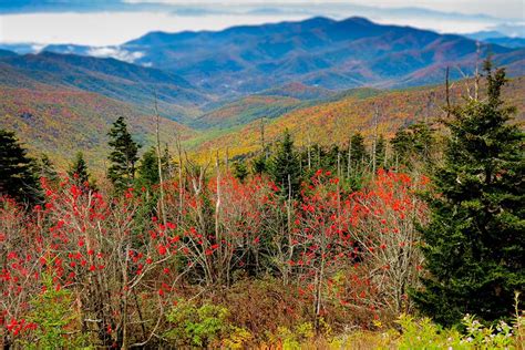 Where to View the Fall Colors at Great Smoky Mountains National Park ...