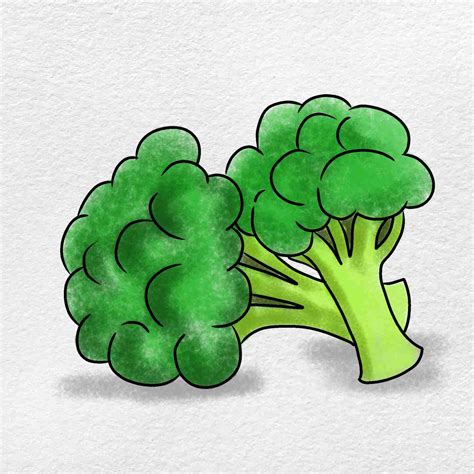 Broccoli Drawing