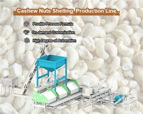 Cashew Nut Processing Machine Cashew Nut Production Line Cashew ...