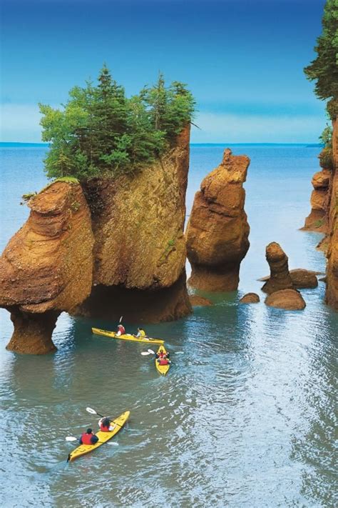 The top 10 attractions in New Brunswick | East coast travel, Fundy ...