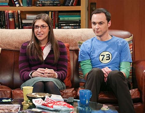 Sheldon & Amy Farrah Fowler, The Big Bang Theory from 2013's TV Couples ...