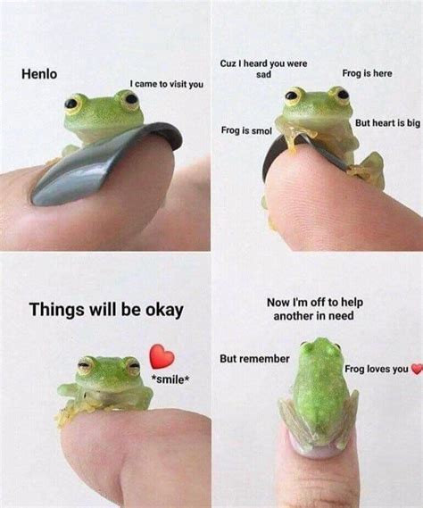 14 Uplifting Frog Memes for a Happiness Boost - Home - Made from the ...