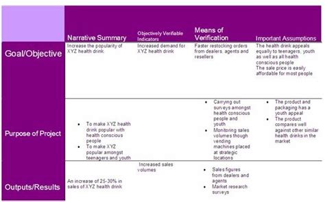 Example of a Logframe Matrix: Explanation & Free Download