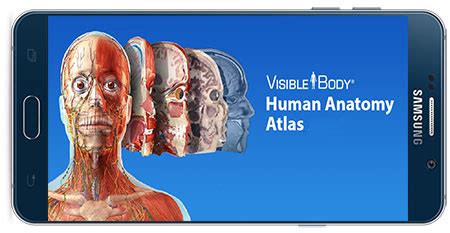 دانلود برنامه Human Anatomy Atlas 2023 V2023.0.09 برای اندروید - دانلود ...