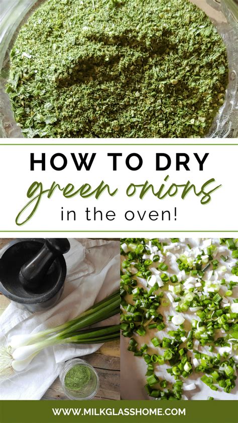 Everything You Need to Know About Drying Green Onions in the Oven ...