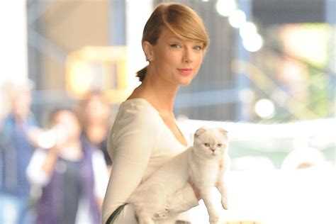 Taylor Swift's Cat's Halloween Costume | Teen Vogue