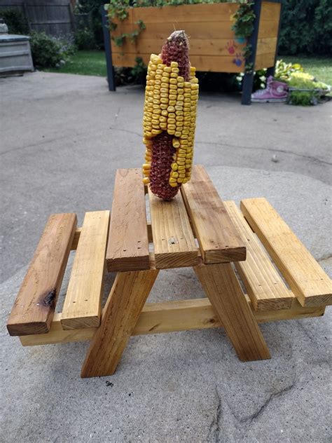 Squirrel Feeder Picnic Table - Etsy