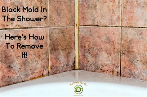 Black Mold In The Shower? Here’s How To Remove It! | Mold Help For You