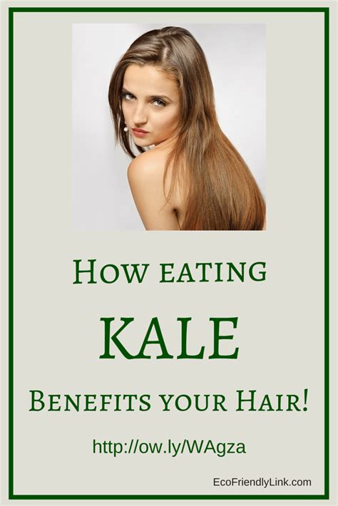 How Kale Benefits Your Skin, Hair & Everything Else! - EcoFriendlyLink