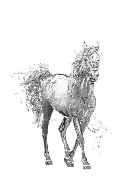 Water Horse on a transparent background. by PRUSSIAART on DeviantArt