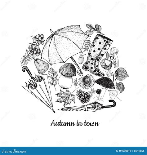 Autumn Sketches Vector Collection. Stock Vector - Illustration of ...