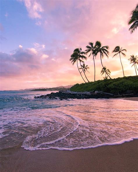 the sun is setting over an ocean with palm trees in the foreground and ...