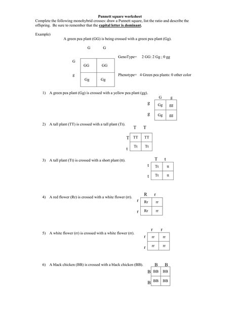 Practice With Punnett Squares Worksheet