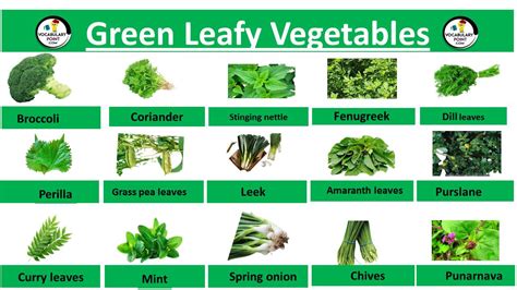 Leafy Green Vegetables List