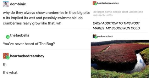 Wolf Spiders Of The Cranberry Bog: A Tumblr Thread