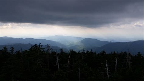 Clingmans Dome, Tennessee : pics