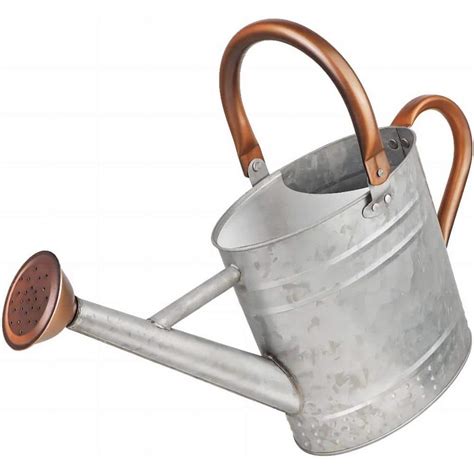 Cubilan 1 Gal. Metal Watering Can with Removable Spout, Nice Galvanized ...