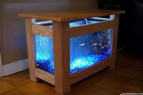 20 gallon fish tank fish ideas - fessgalaxy