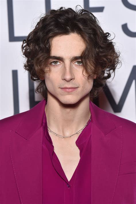 Timothée Chalamet Debuts Mustache at the 2020 National Board of Review Gala