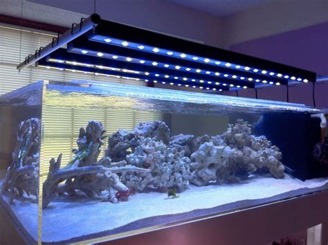 https://www.google.co.kr/blank.html | Aquarium lighting, Led aquarium ...