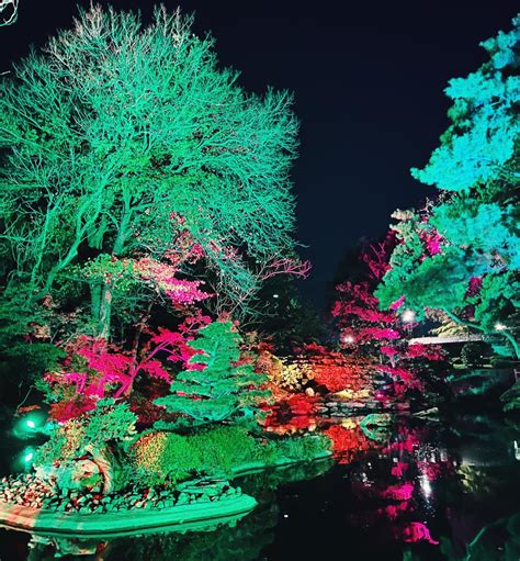 Lightscape at Fort Worth Botanical Gardens