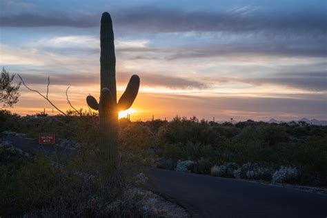 Saguaro National Park in sunlight and shadow