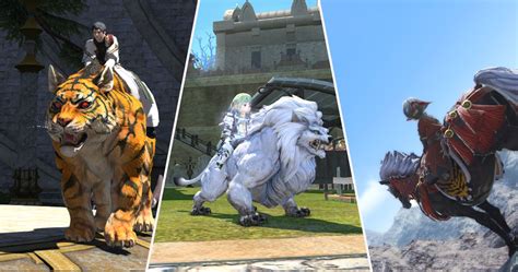 Ffxiv War Bear Mount