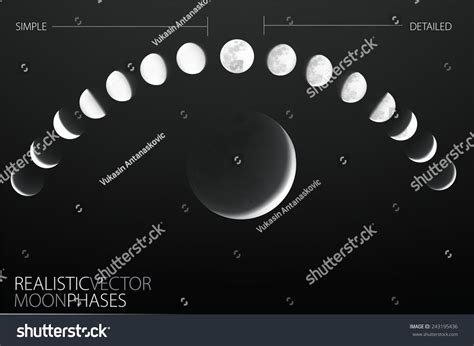 Moon Phases , Realistic And Simple Vector Template - 243195436 ...