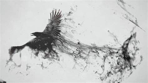 Raven Bird Art, HD Artist, 4k Wallpapers, Images, Backgrounds, Photos ...