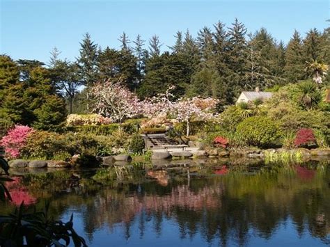 THE 10 BEST Things to Do in Coos Bay - 2020 (with Photos) | Tripadvisor ...