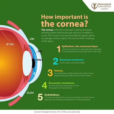 Cornea Function