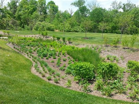 NJ Developers Green Insfrastructure Guide | Bioretention System