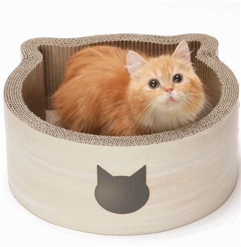 Necoichi Cat-headed Scratcher Bed - Slash Pets