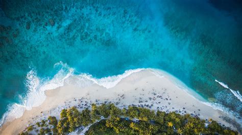 Aerial View Of Island Beach Waves And Palm Trees 4K HD Nature ...