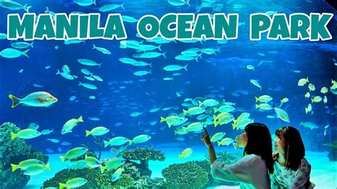 MANILA OCEAN PARK | Must-See Attractions and Aquatic Adventures - YouTube