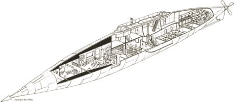 The Internal Layout of the Nautilus