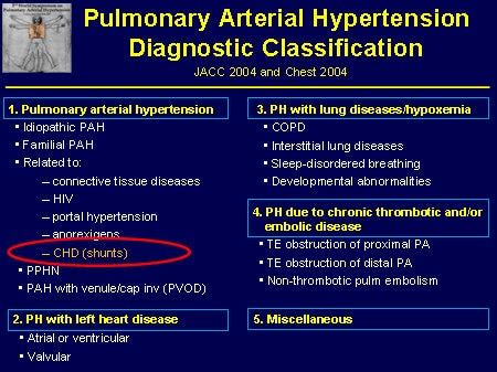 Pulmonary Arterial Hypertension (PAH): Clinical Applications for the ...