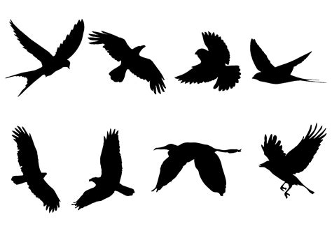 Flying Bird Silhouette Vector Art, Icons, and Graphics for Free Download