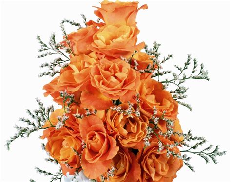 3840x2160 resolution | bouquet of orange Roses HD wallpaper | Wallpaper ...