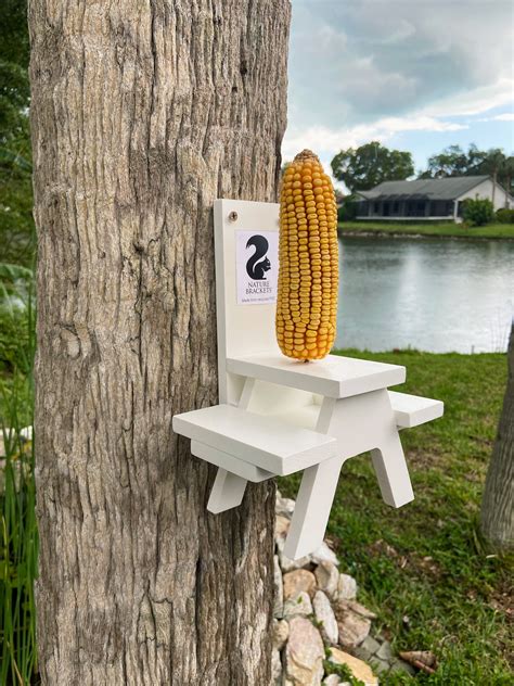 Squirrel Feeder- Picnic Table – Nature Brackets