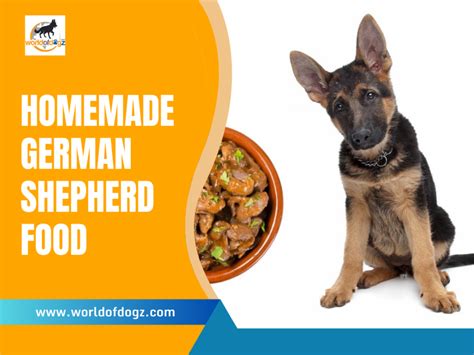 Homemade German Shepherd Food: A Beginner's Guide & Recipes - World of Dogz