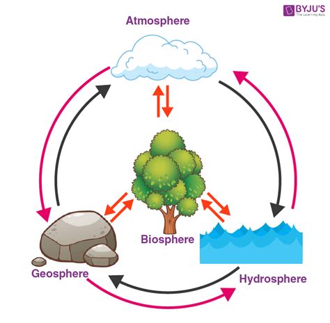 Earths Biosphere Diagram