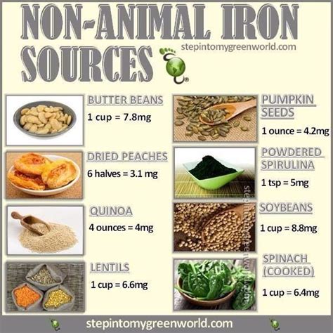 How Vitamin C Increase Iron Absorption