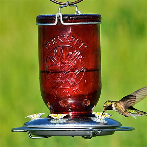 Diy hummingbird feeder - delihrom