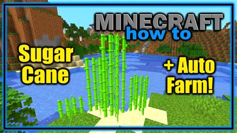 How to Find and Use Sugar Cane in Minecraft! | Easy Minecraft Tutorial ...