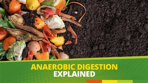 Anaerobic Digestion explained