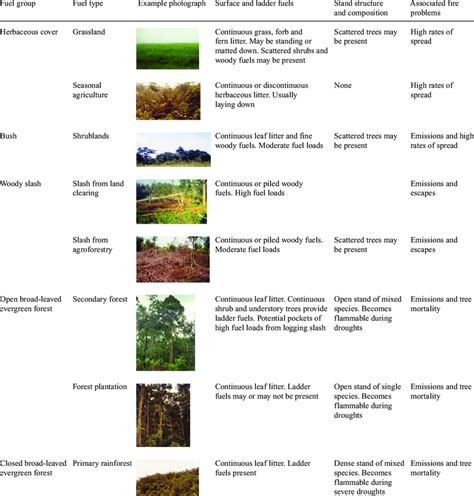 Hierarchy of fuel groups and fuel types and summary of their surface ...