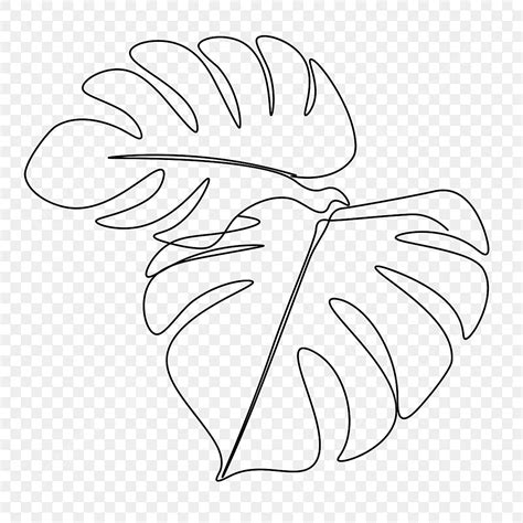 Lineart Drawing Plant Monstera Leaf, Monster Drawing, Leaf Drawing ...