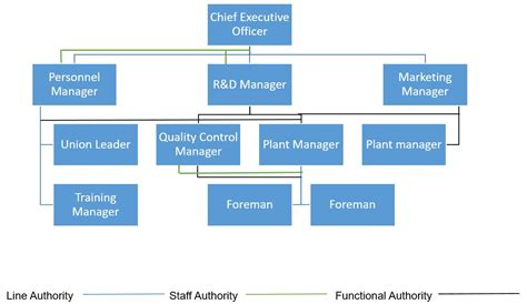 Organization Design - Types of Organization Structure - BBA|mantra